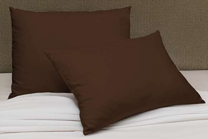 Par de Almohadas Colores ECO